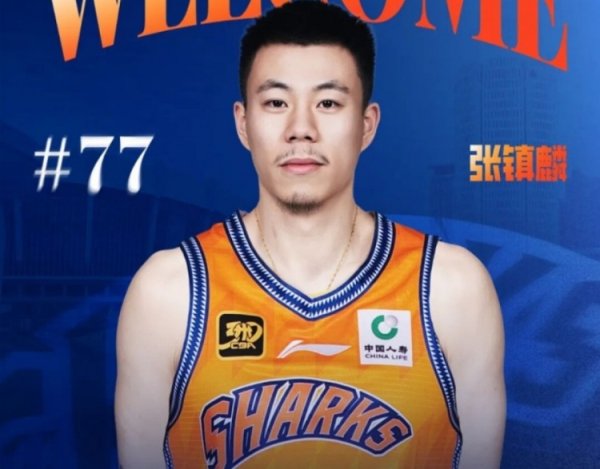 卢伟：张镇麟经验丰富&只是需要时间合练 今年目标是后